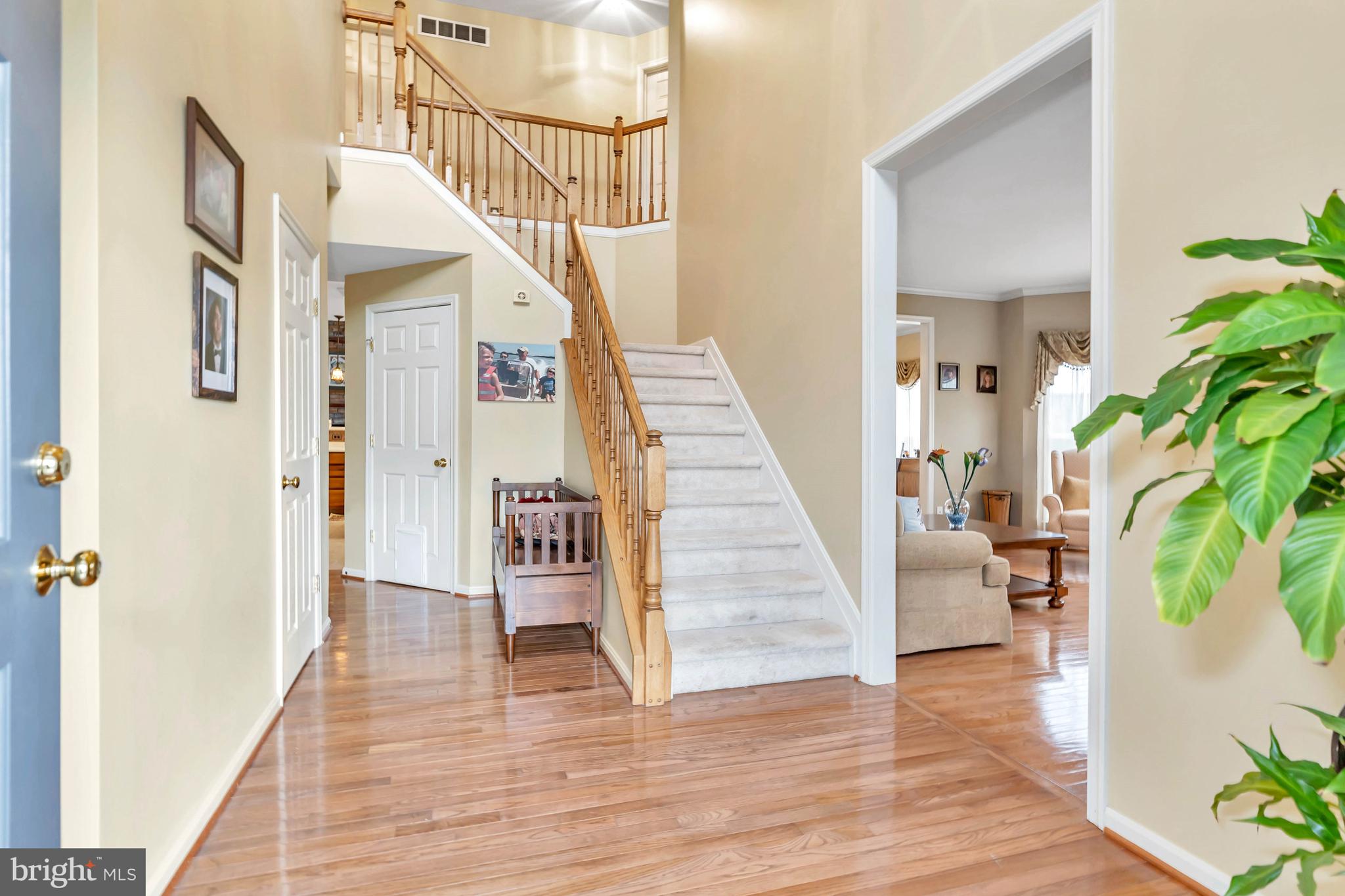 2 Setter Court Townsend, DE 19734 - Photo 5 of 48