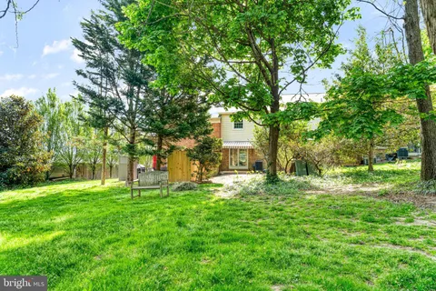a view of a trees with a yard
