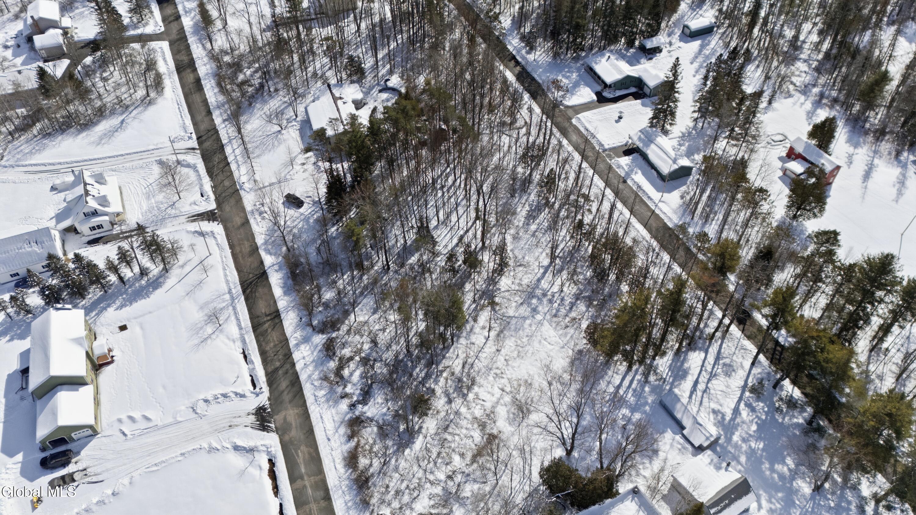 0 Hilltop Road Broadalbin, NY 12025 - Photo 2 of 8 IMG_4174