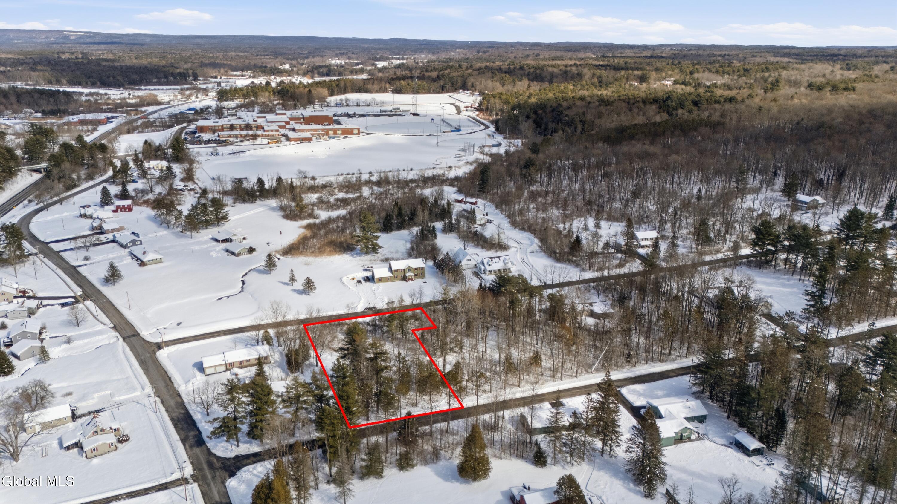 0 Hilltop Road Broadalbin, NY 12025 - Photo 3 of 8 IMG_4180