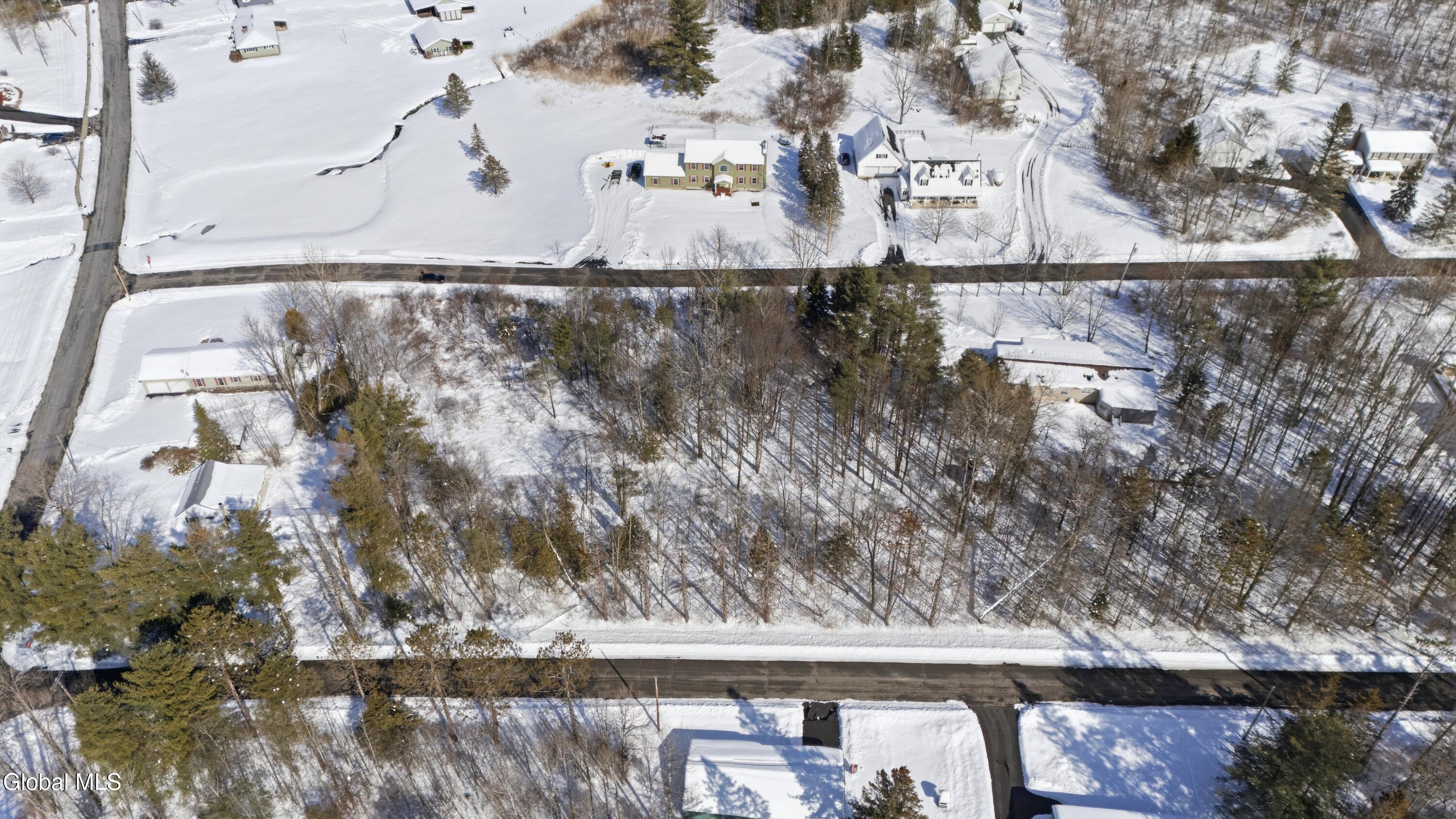 0 Hilltop Road Broadalbin, NY 12025 - Photo 4 of 8 IMG_4186