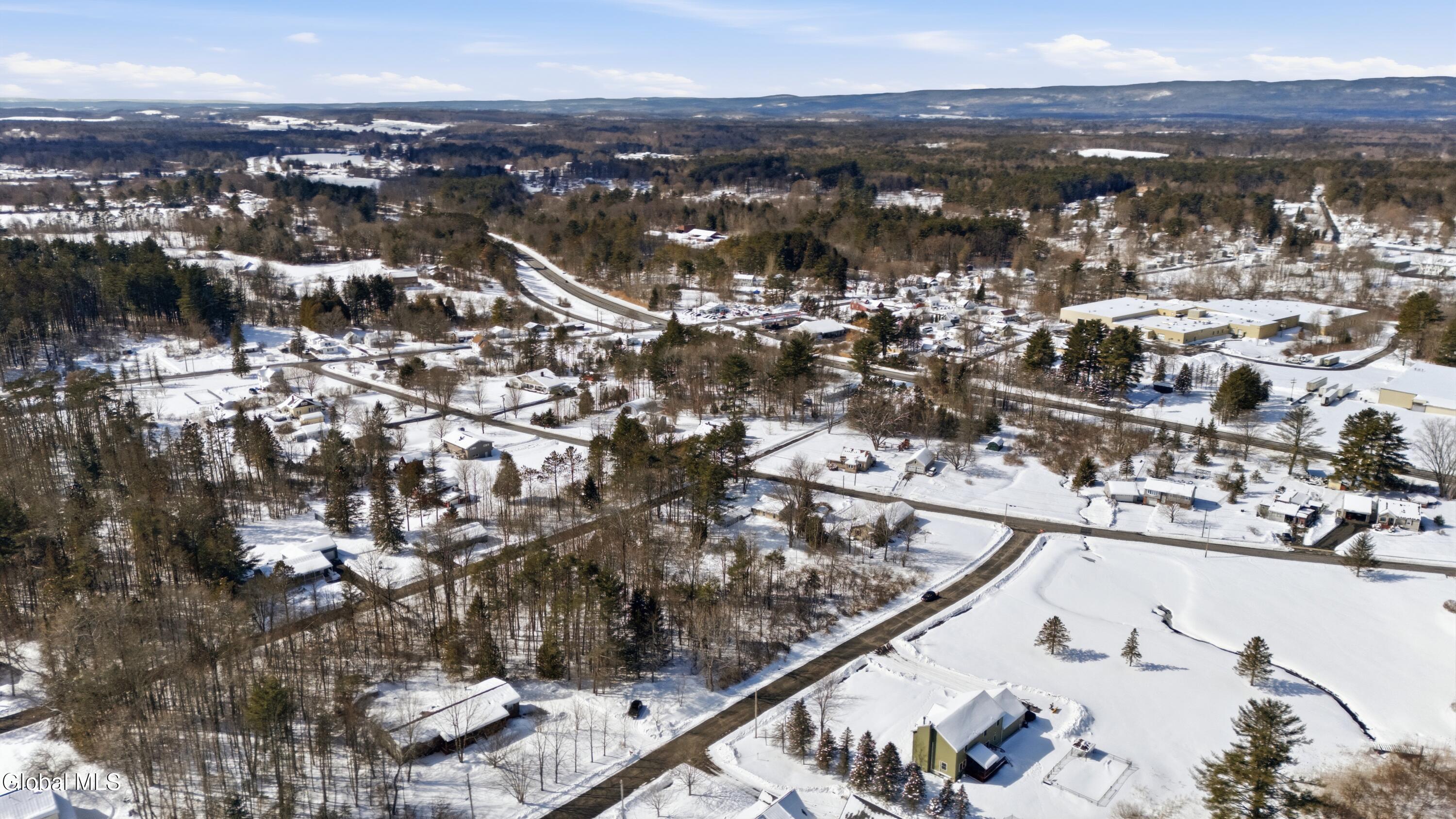 0 Hilltop Road Broadalbin, NY 12025 - Photo 5 of 8 IMG_4183