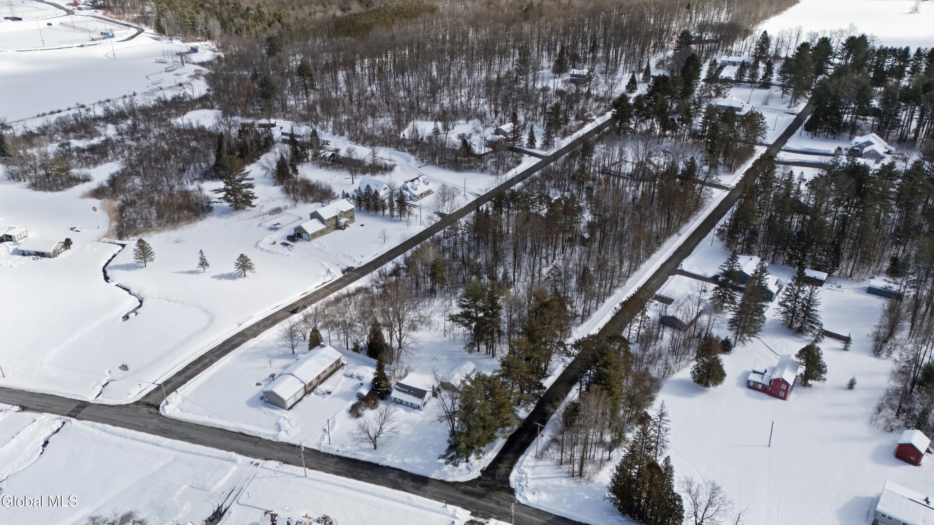 0 Hilltop Road Broadalbin, NY 12025 - Photo 8 of 8 IMG_4188