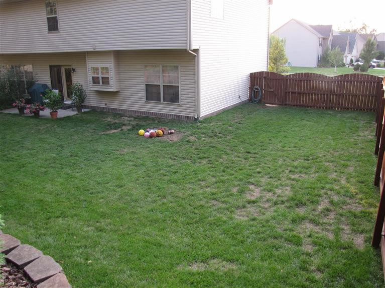 349 Winton Road Versailles, KY 40383 - Photo 30 of 36 Lots of room on both sides of the house