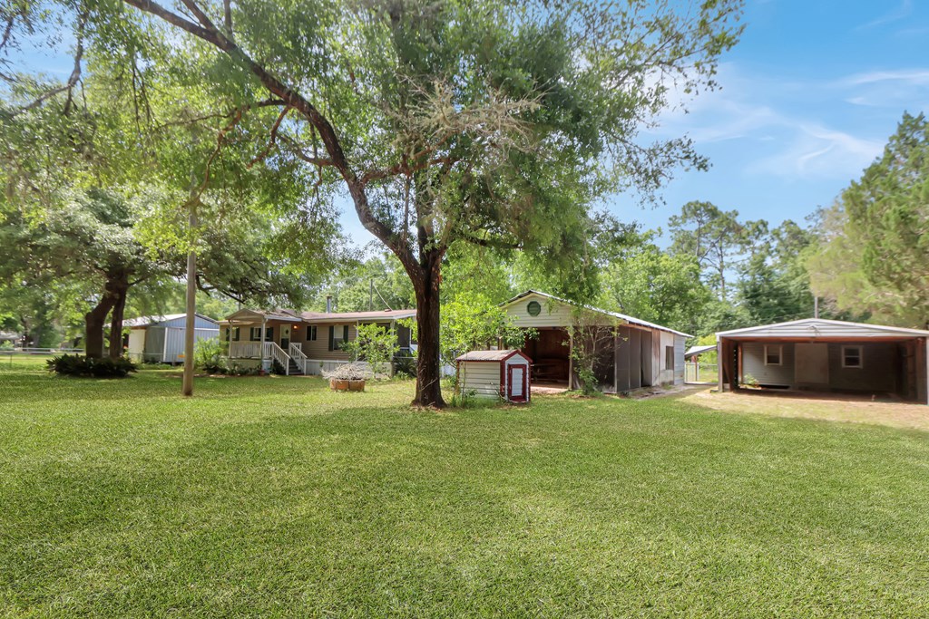 7145 David Whitfield Road Wewahitchka, FL 32465 - Photo 7 of 35
