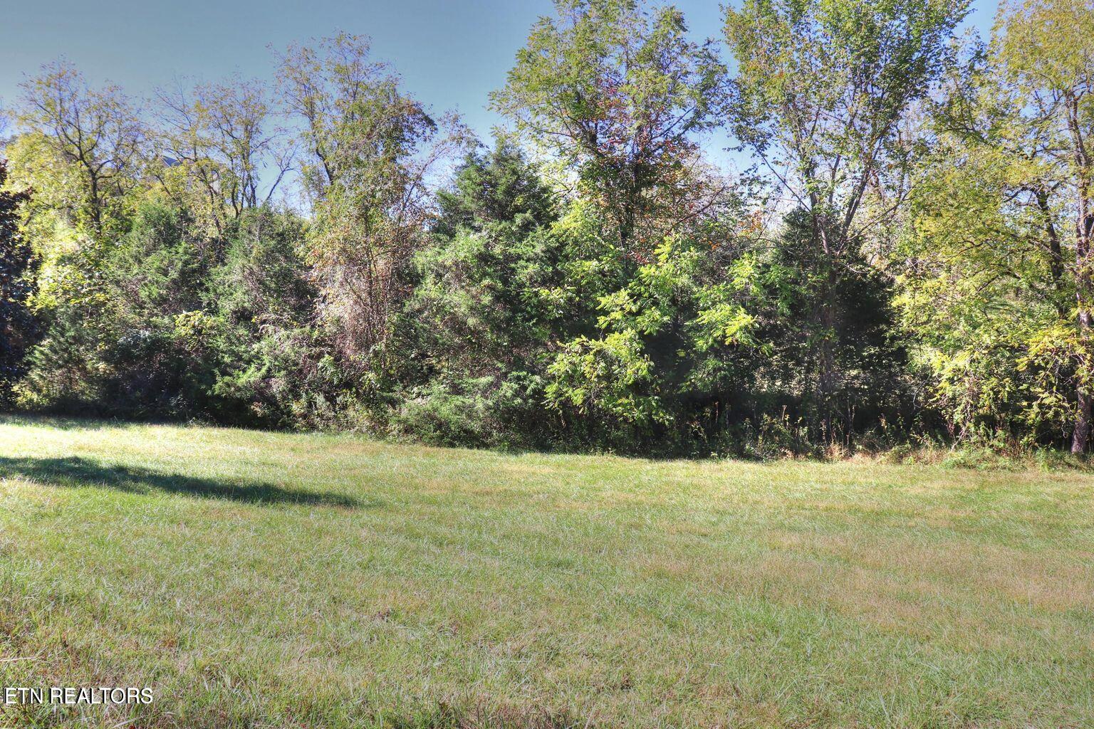 Lot 567 Russell Brothers Road Sharps Chapel, TN 37866 - Photo 6 of 11 tree lined