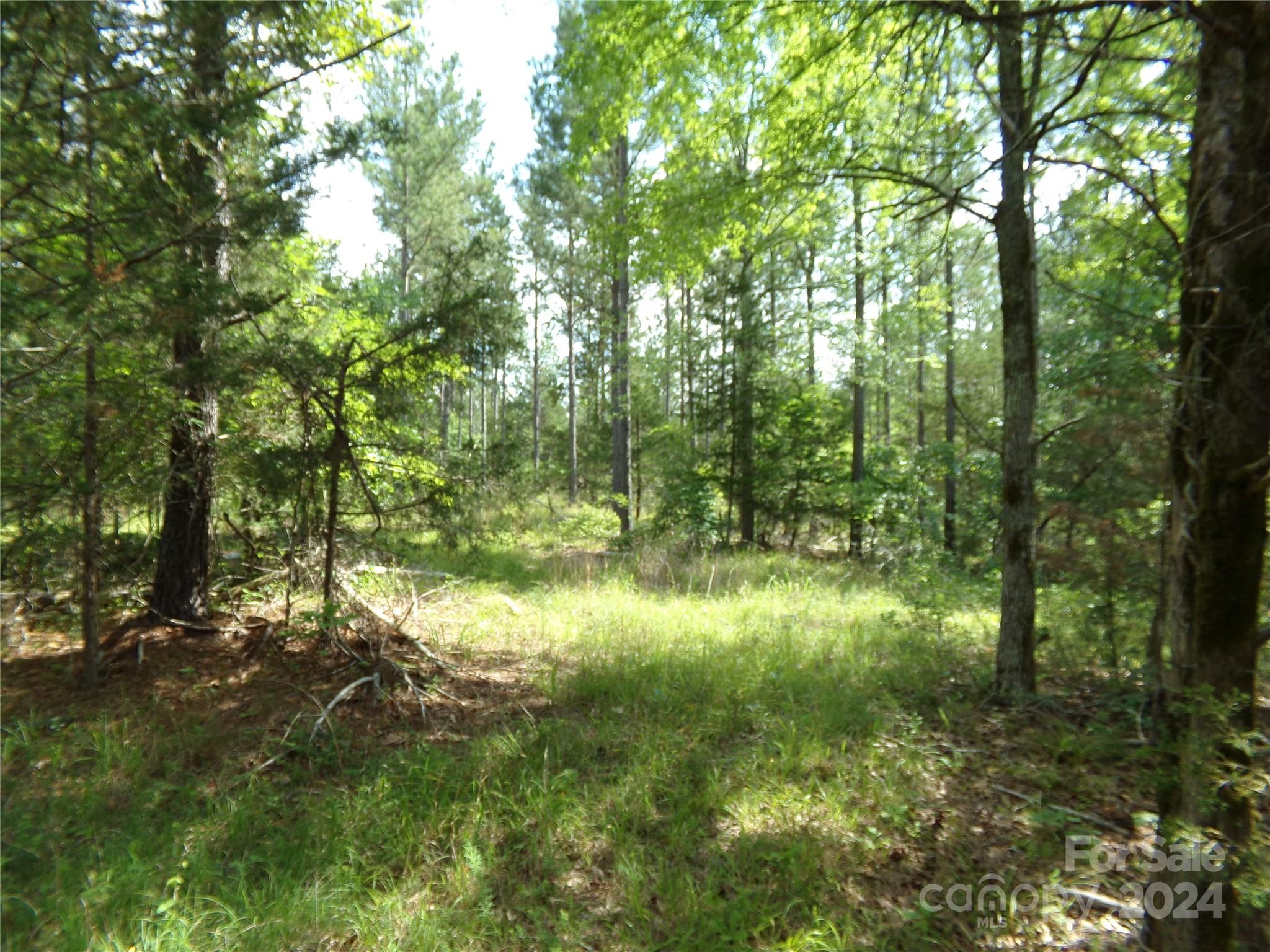 5-6 Hawks Nest Road York, SC 29745 - Photo 12 of 19 a view of a garden