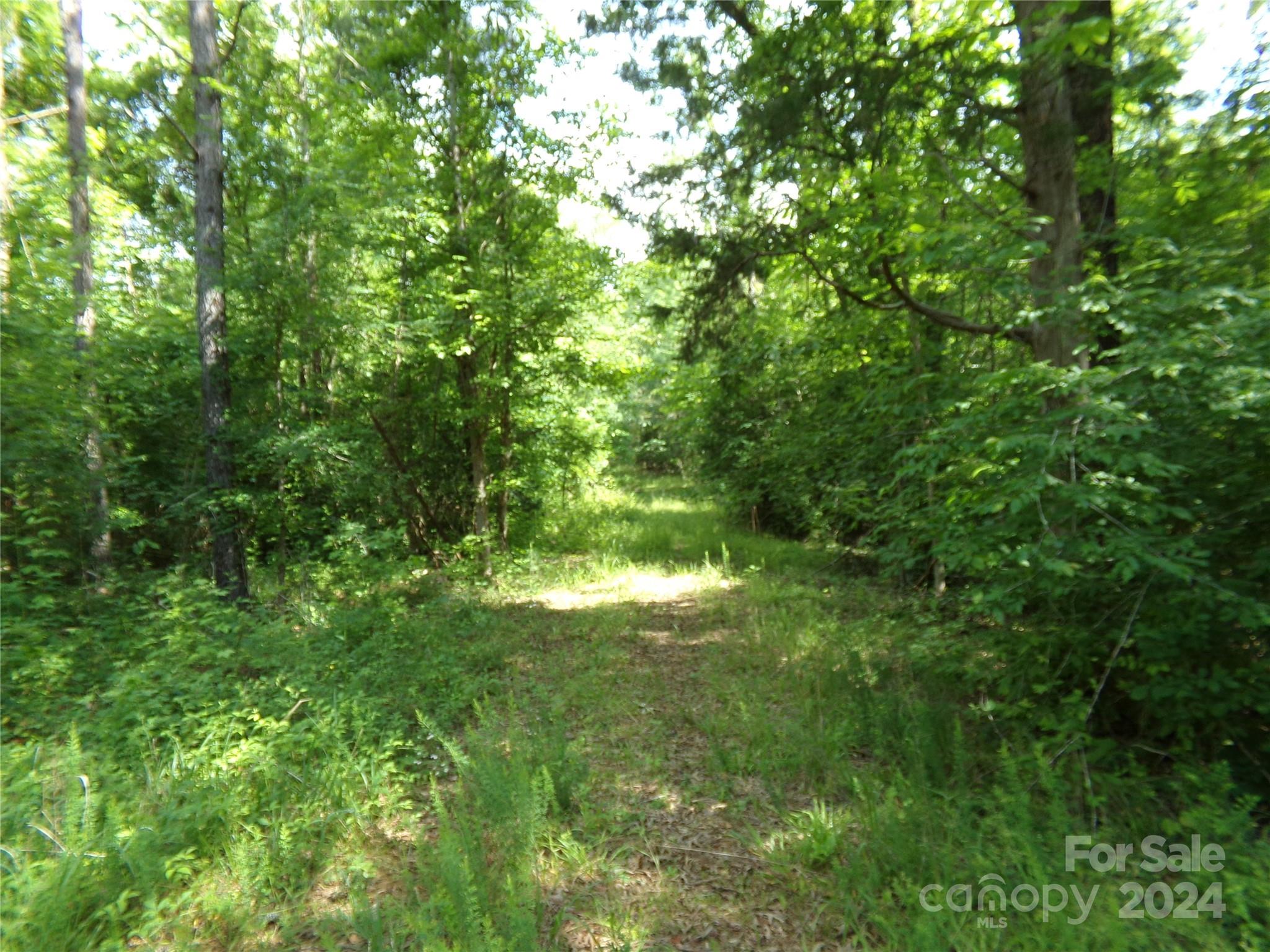 5-6 Hawks Nest Road York, SC 29745 - Photo 13 of 19 a view of yard with green space