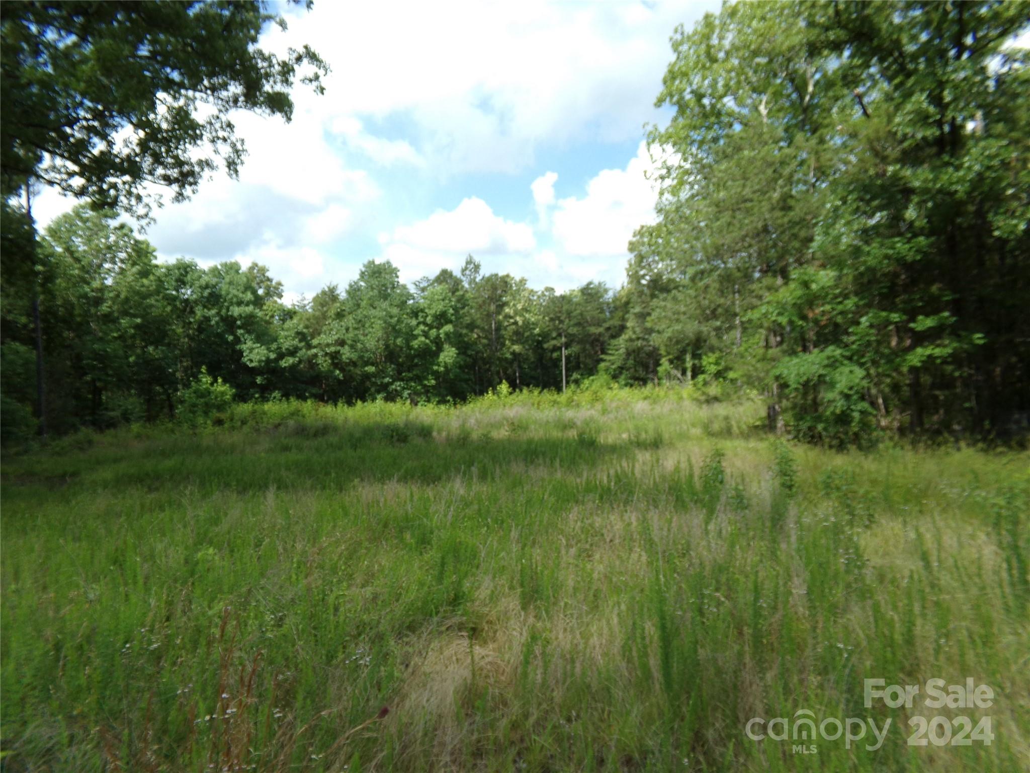 5-6 Hawks Nest Road York, SC 29745 - Photo 14 of 19 a view of a lush green space