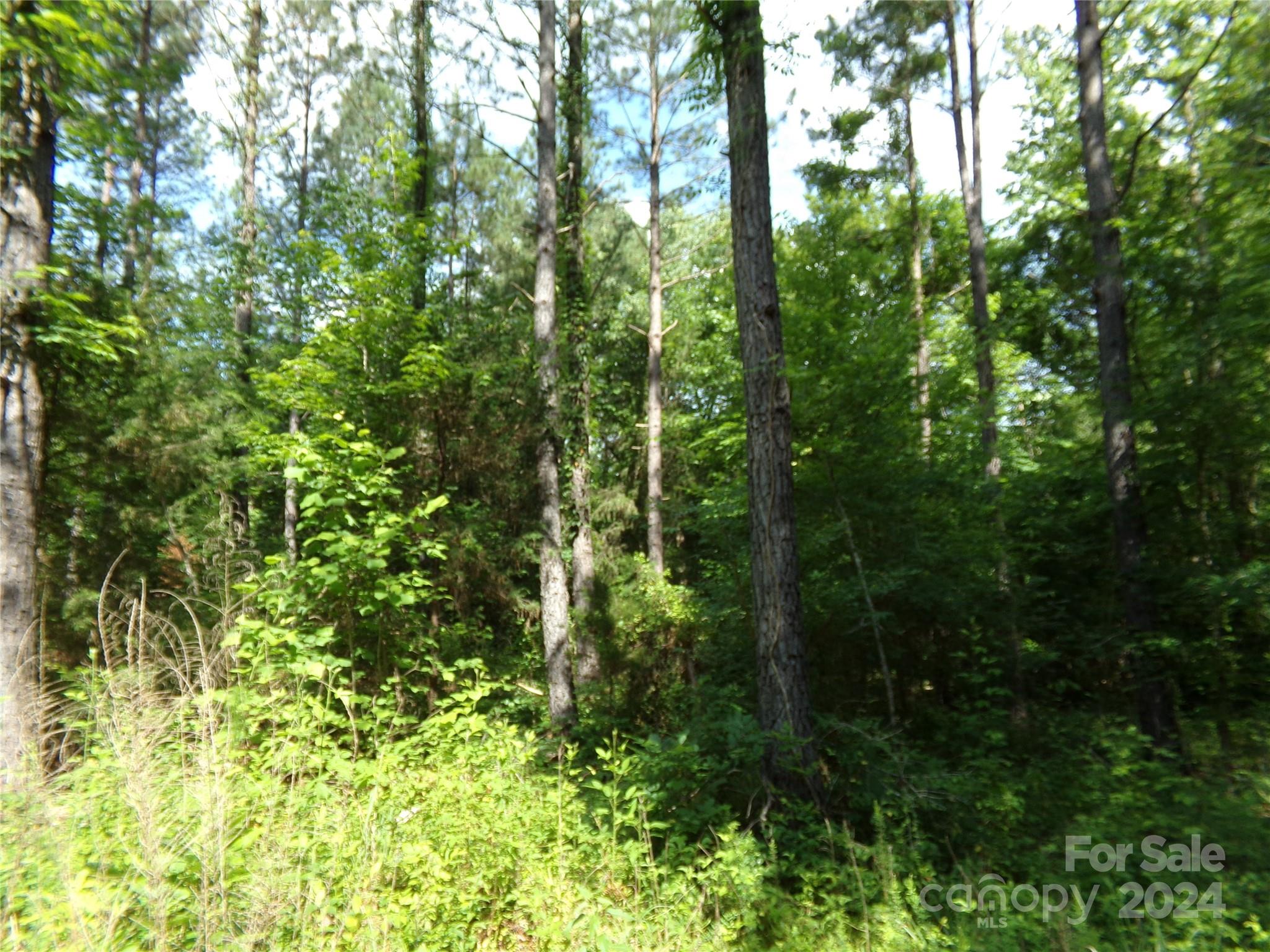 5-6 Hawks Nest Road York, SC 29745 - Photo 19 of 19