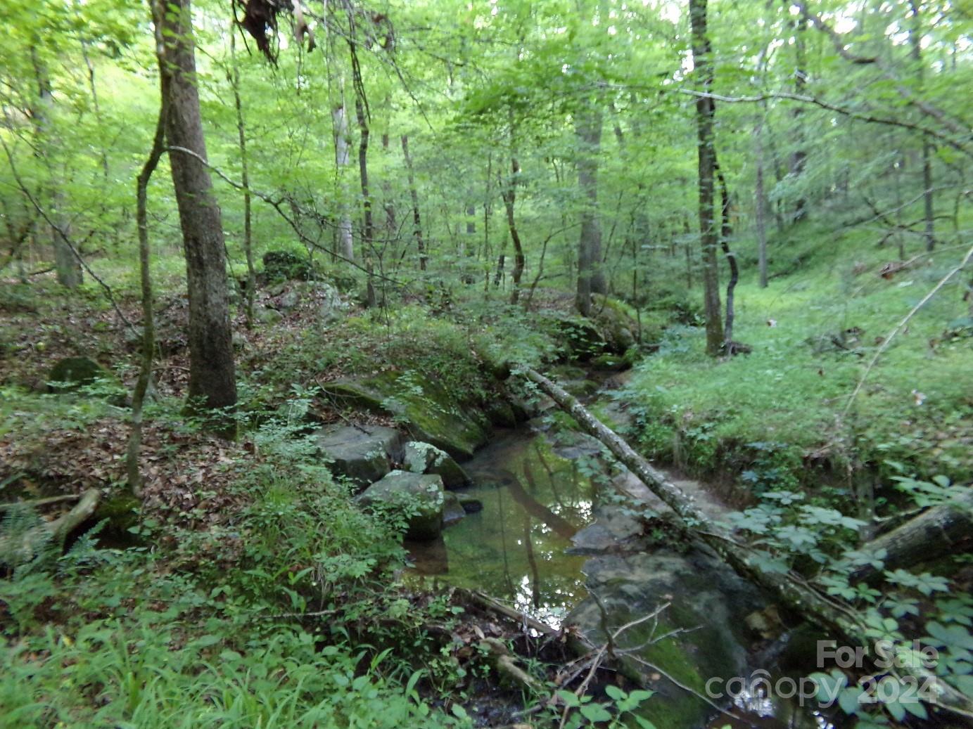 5-6 Hawks Nest Road York, SC 29745 - Photo 8 of 19 a view of a lush green forest