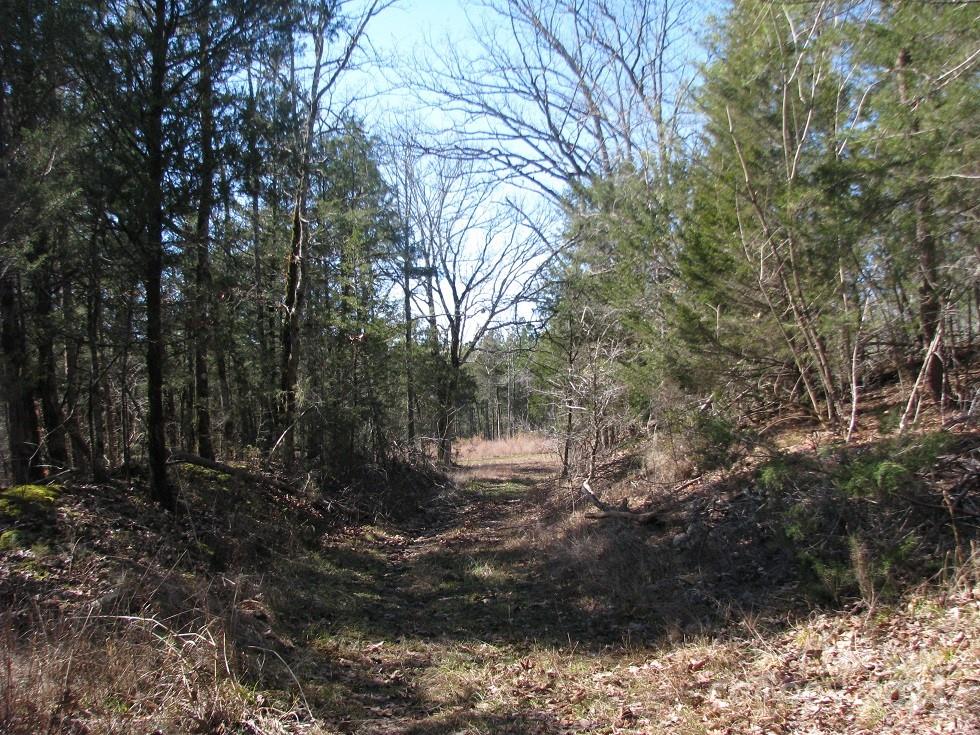 5-6 Hawks Nest Road York, SC 29745 - Photo 10 of 19 a backyard of a house