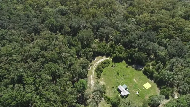 a view of a green field with lots of bushes