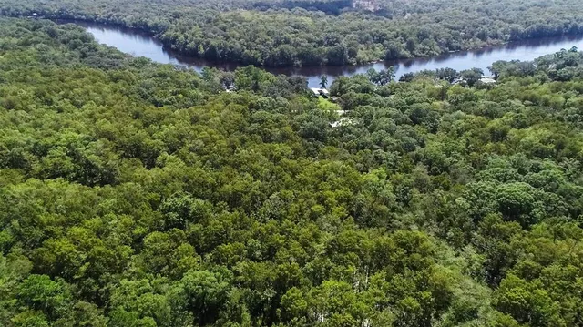 a view of a green field