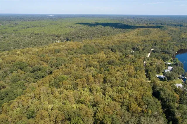 a view of a large yard with lots of green space