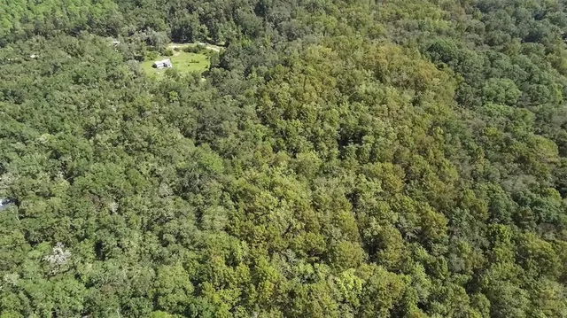 a view of a field of grass and trees