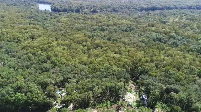 a view of a green field with lots of bushes