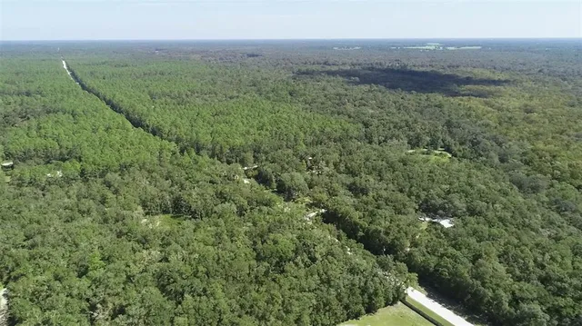 a view of a green field with lots of bushes