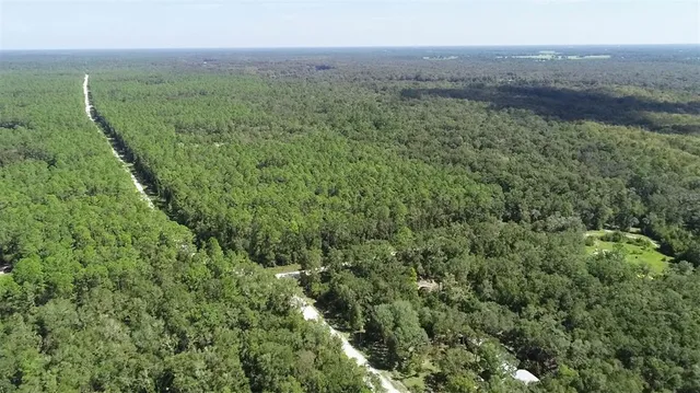 an aerial view of forest