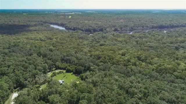 a view of yard with green space