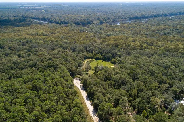 a backyard of a house with plants and large tree