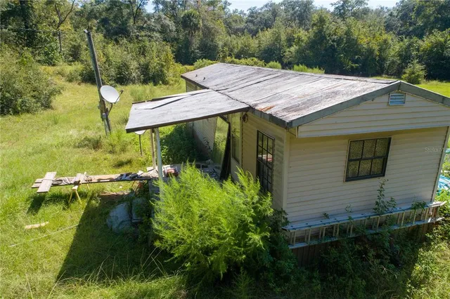 a close up of a plant in a garden