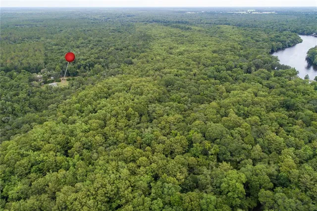 a backyard of a house with a yard and large trees