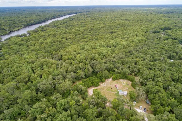 an aerial view of forest