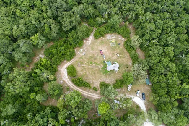 an aerial view of forest