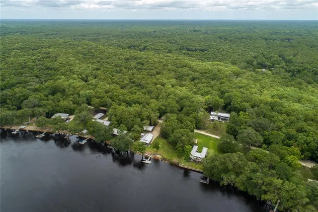 a view of a tree in a yard