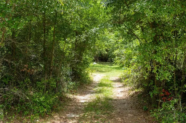 $335,000 | 104 Northeast 304th Avenue, Old Town, FL 32680