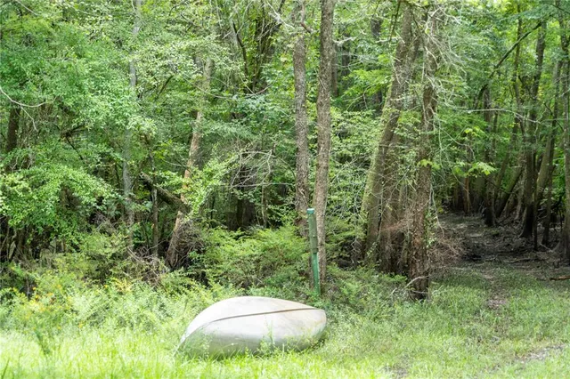 $335,000 | 104 Northeast 304th Avenue, Old Town, FL 32680