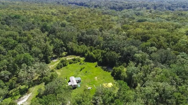 a view of a large yard with lots of green space