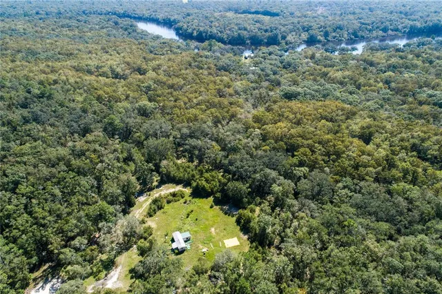 an aerial view of a house with a yard and large trees