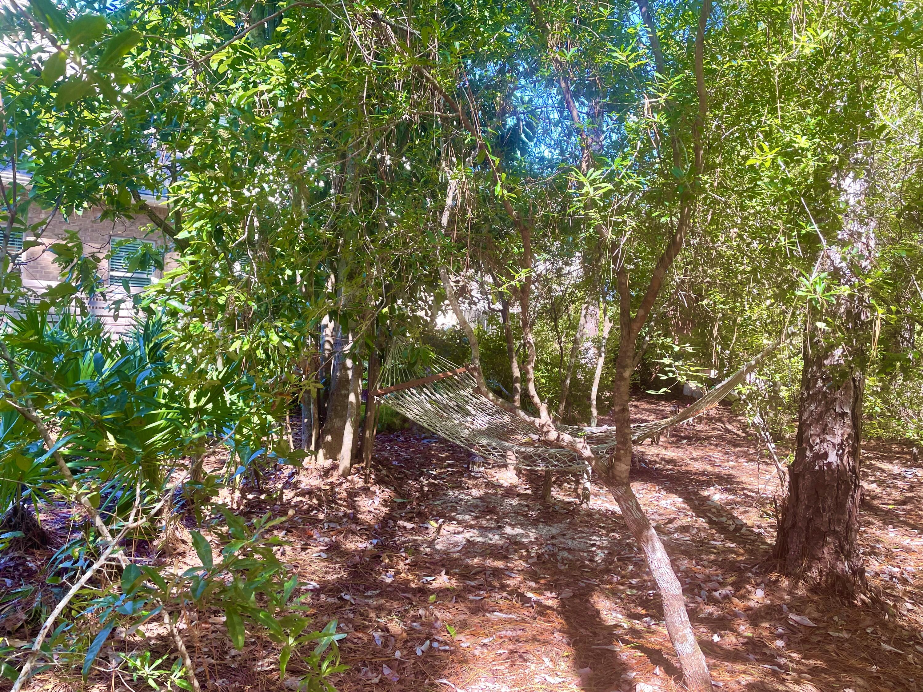 345 Cox Road Santa Rosa Beach, FL 32459 - Photo 54 of 66 9BD89707-EF36-4512-A312-FAA7D73FE8A9_1_2