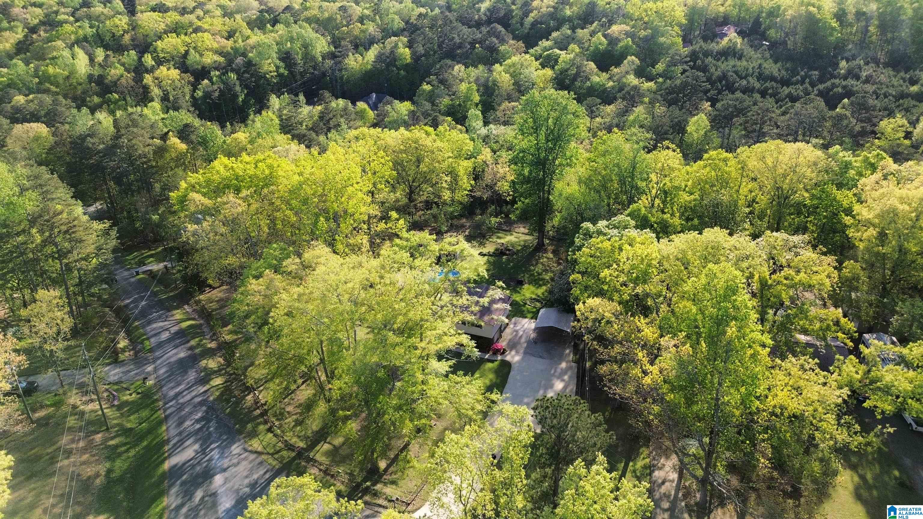 11 Crosshill Trail Warrior, AL 35180 - Photo 12 of 48