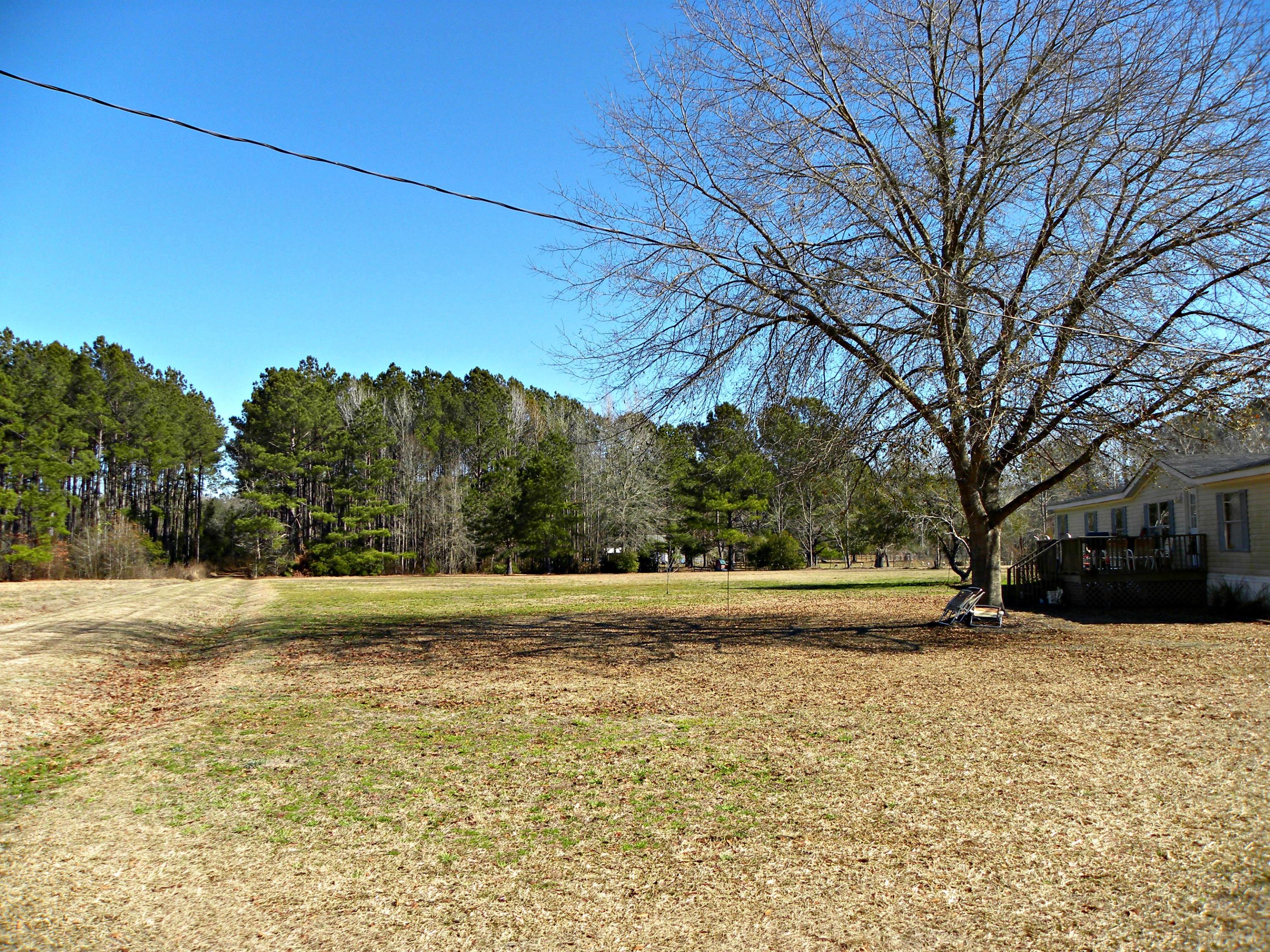 1181 State Rd S-15-28 Walterboro, SC 29488 - Photo 9 of 10 1 yard front
