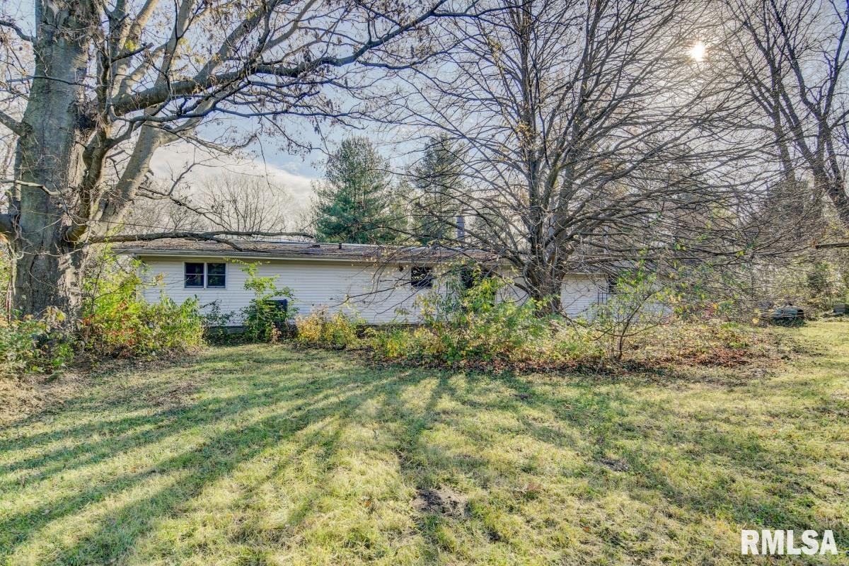 6201 New City Road Rochester, IL 62563 - Photo 38 of 42