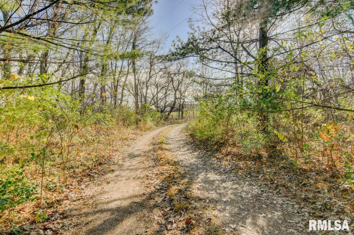 6201 New City Road Rochester, IL 62563 - Photo 41 of 42