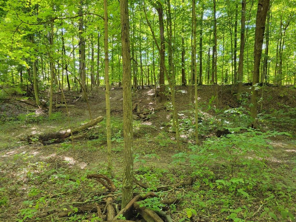 0 Hancock Ridge Road Martinsville, IN 46151 - Photo 4 of 7
