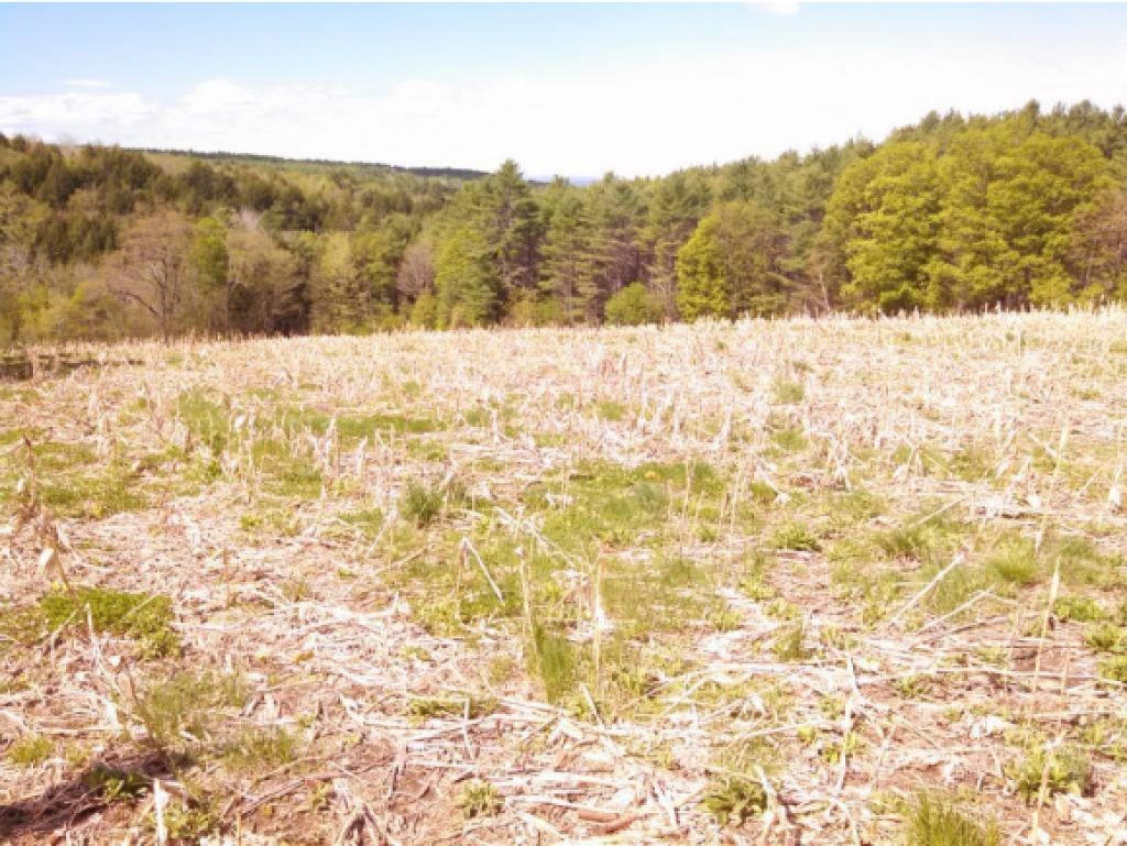 2 3 Mile Road Hanover, NH 03750 - Photo 1 of 4