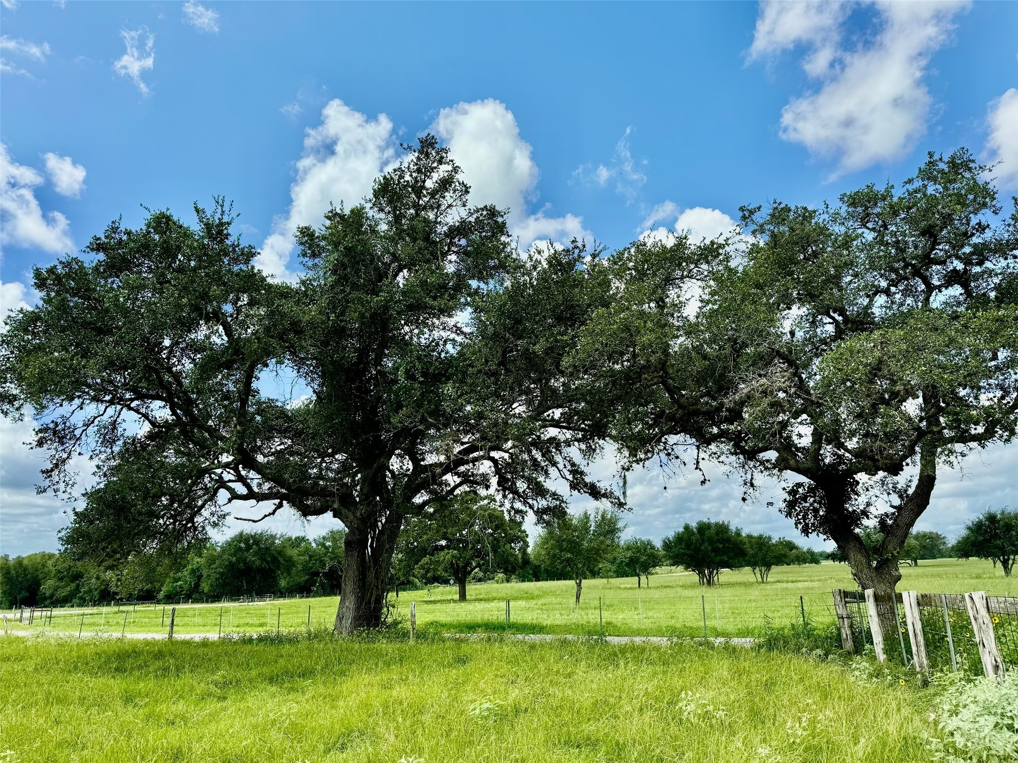3653 Kaiser-Adams Road Yoakum, TX 77995 - Photo 14 of 22 a view of a golf course with a fountain