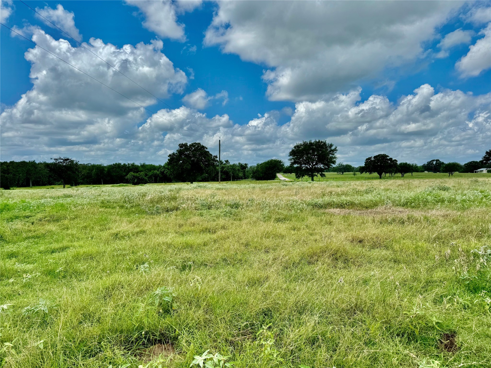 3653 Kaiser-Adams Road Yoakum, TX 77995 - Photo 16 of 22 a view of a big yard with lots of green space