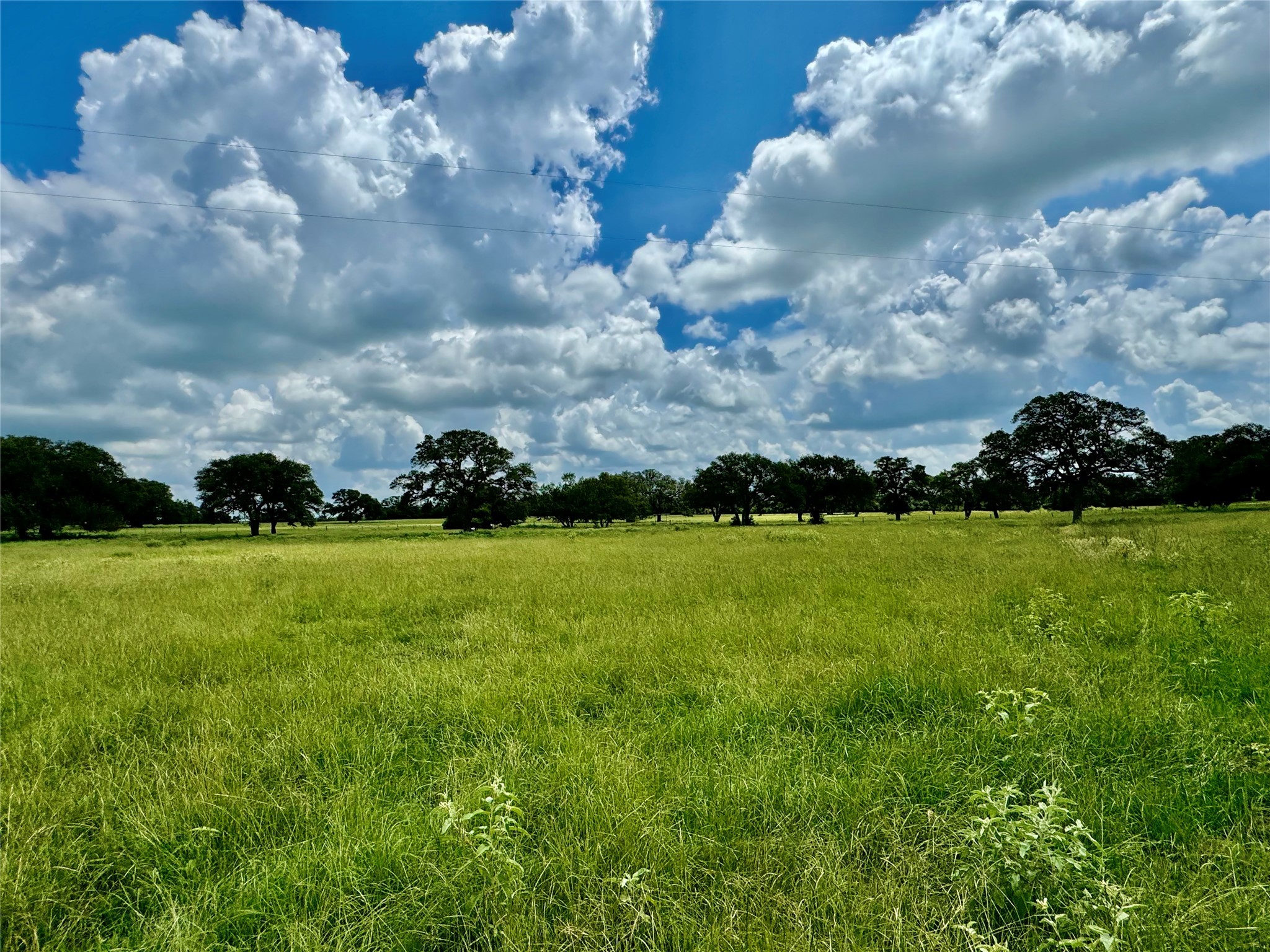 3653 Kaiser-Adams Road Yoakum, TX 77995 - Photo 17 of 22 a view of building with outdoor space