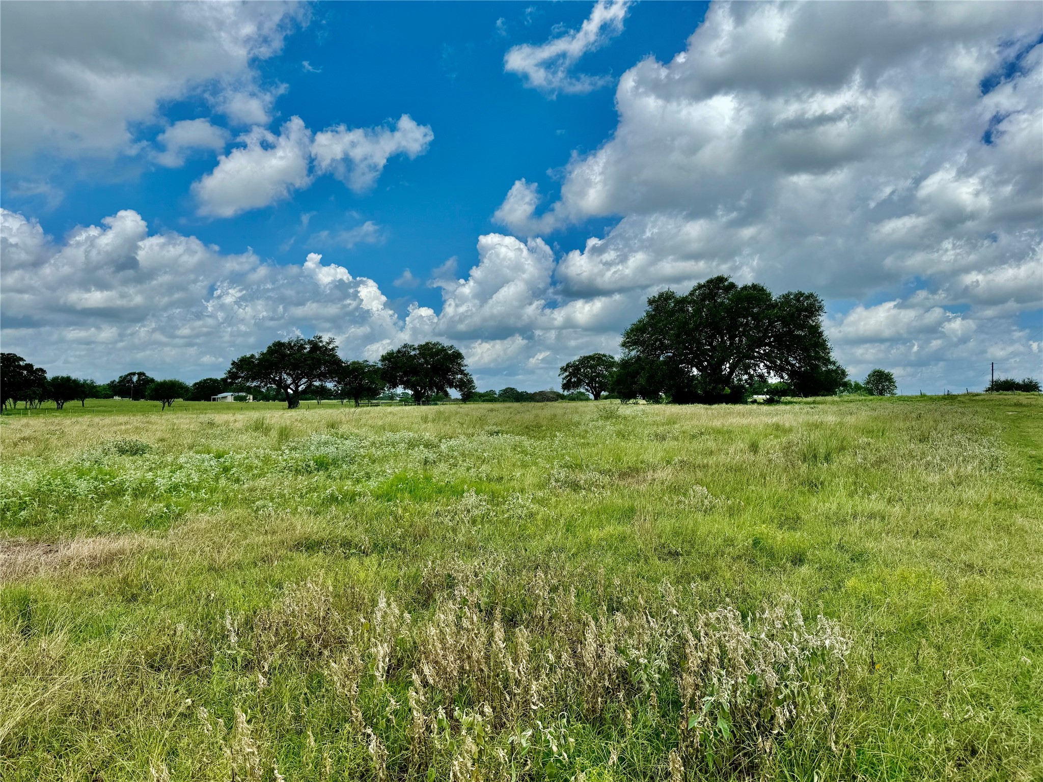 3653 Kaiser-Adams Road Yoakum, TX 77995 - Photo 19 of 22 a view of a garden