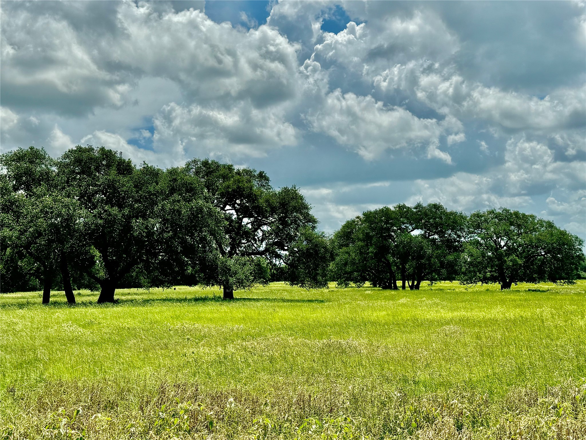 3653 Kaiser-Adams Road Yoakum, TX 77995 - Photo 2 of 22 a view of a golf course