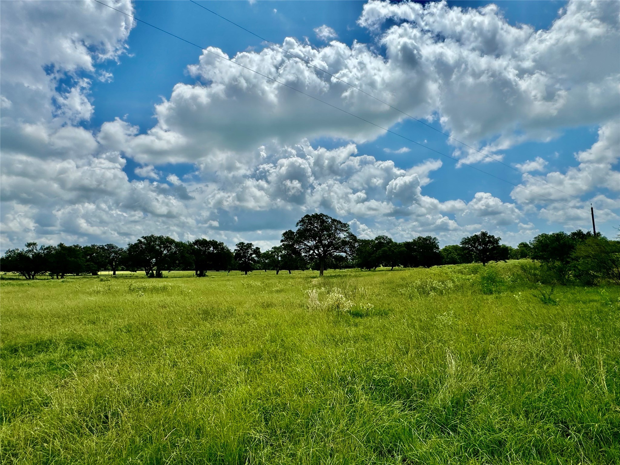 3653 Kaiser-Adams Road Yoakum, TX 77995 - Photo 4 of 22 a view of a big yard