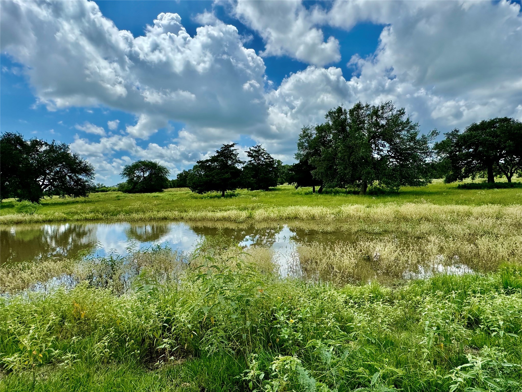 3653 Kaiser-Adams Road Yoakum, TX 77995 - Photo 6 of 22 a view of a golf course with a lake