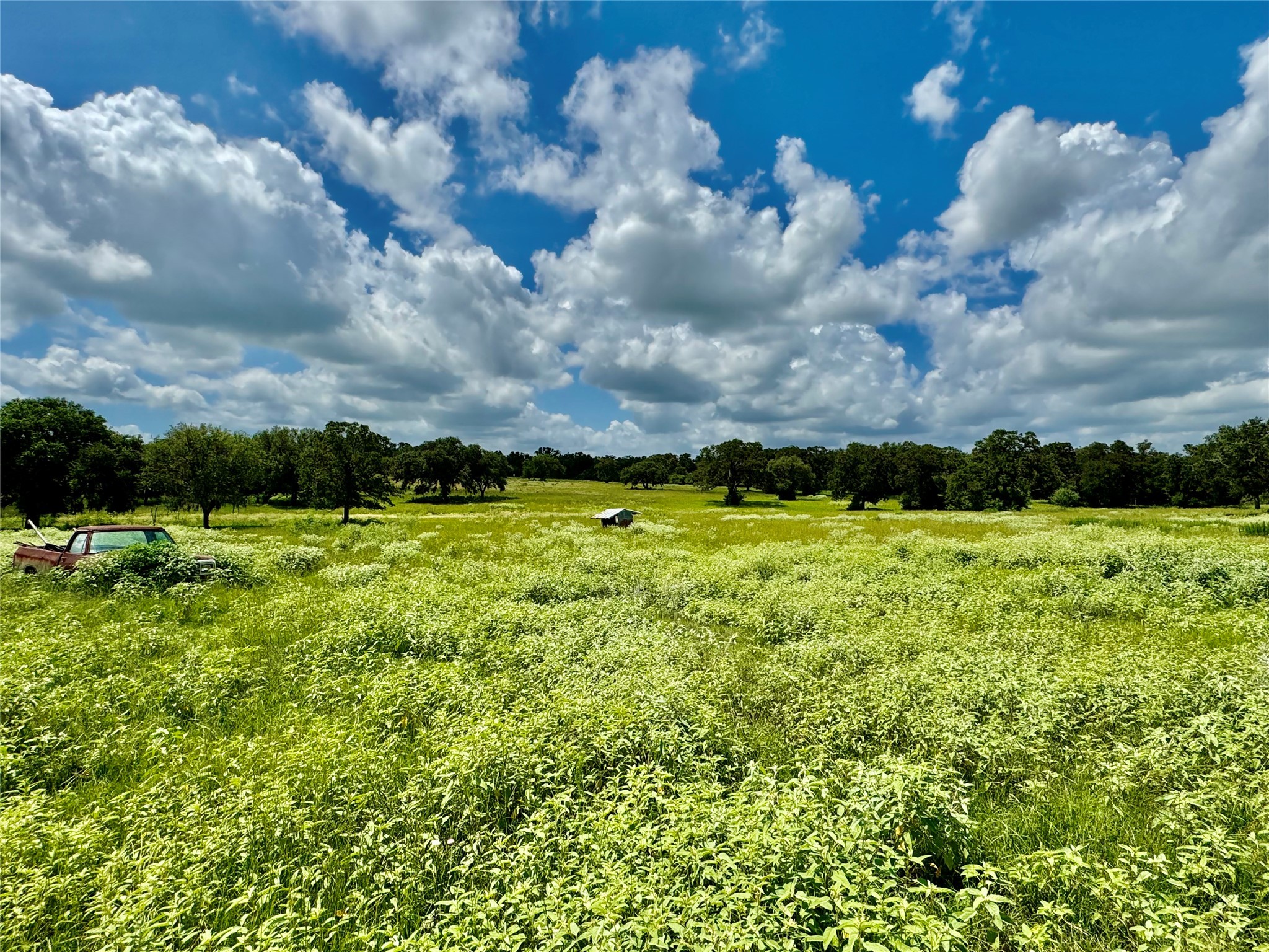 3653 Kaiser-Adams Road Yoakum, TX 77995 - Photo 7 of 22 a view of a garden with an outdoor seating