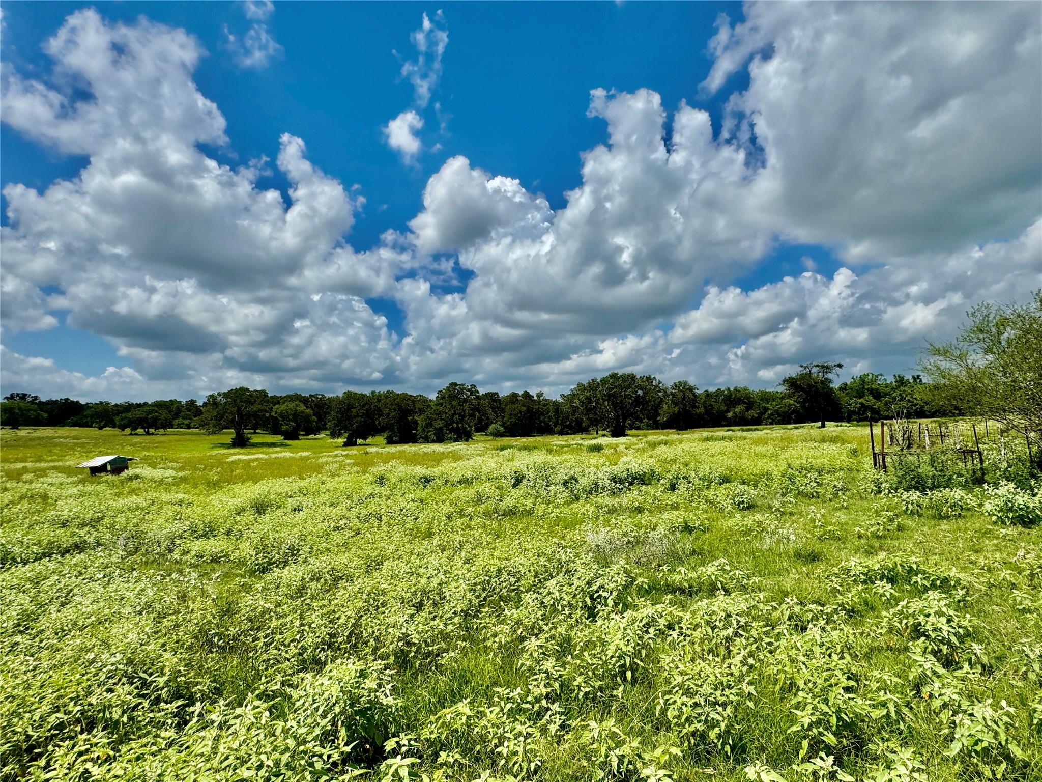 3653 Kaiser-Adams Road Yoakum, TX 77995 - Photo 8 of 22 a view of a golf course with green space